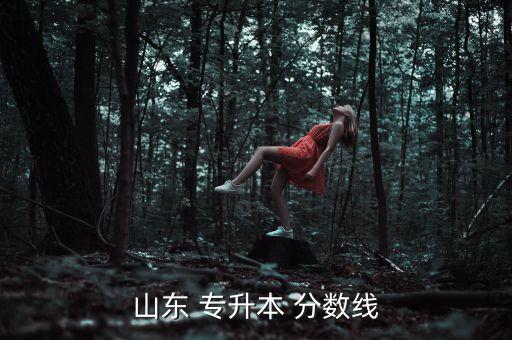 山東省專升本各科分數(shù),2017年山東專升本考生成績出爐!