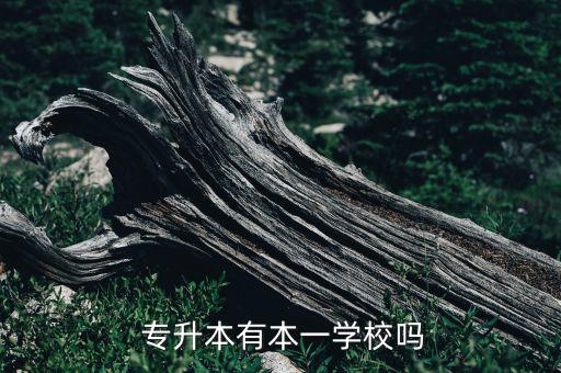 專升本一本,中國大陸教育系統(tǒng)?？粕氡究圃盒５目荚囍贫? /></a><a href=
