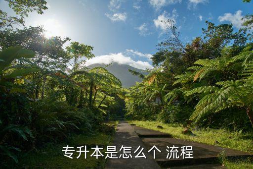  專升本是怎么個(gè) 流程