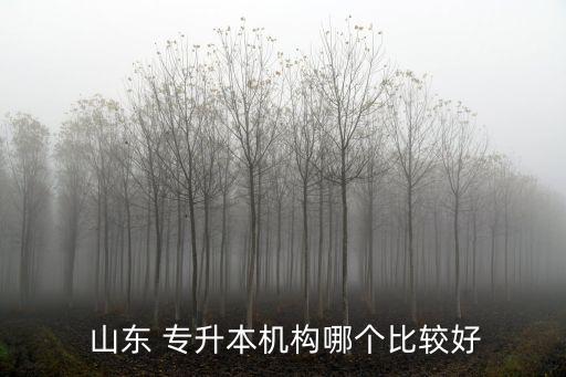 山東專升本公共課輔導(dǎo),報考山東專升本如何選擇培訓(xùn)機(jī)構(gòu)?