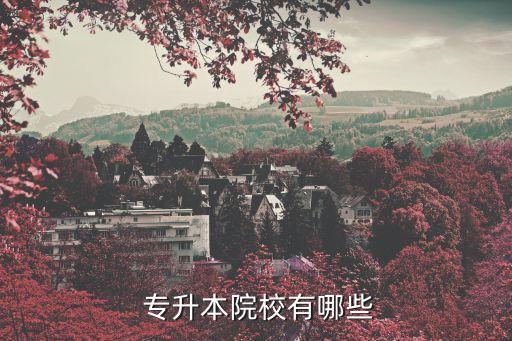 專(zhuān)升本院校有哪些