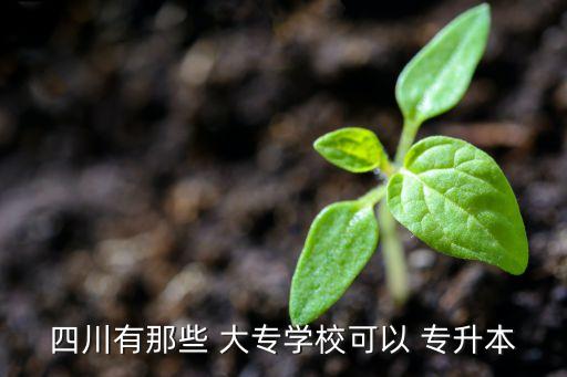 四川有那些 大專學(xué)?？梢?專升本