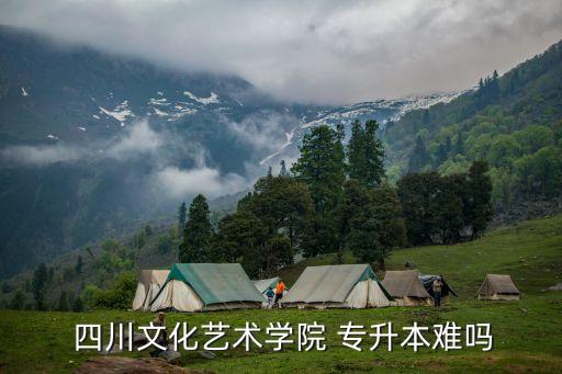  四川文化藝術學院 專升本難嗎