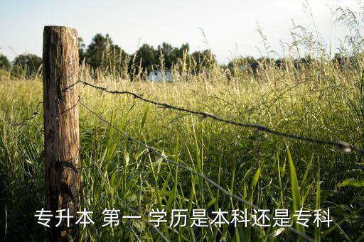  專升本 第一 學歷是本科還是?？? class=