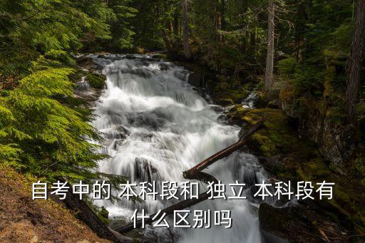 自考中的 本科段和 獨立 本科段有什么區(qū)別嗎