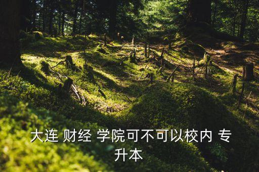  大連 財(cái)經(jīng) 學(xué)院可不可以校內(nèi) 專(zhuān)升本