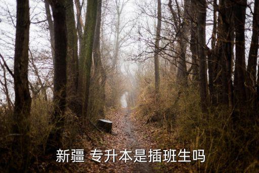 新疆的專升本,新疆專升本明天起不能跨大類報(bào)考