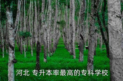 河北 專升本率最高的?？茖W(xué)校