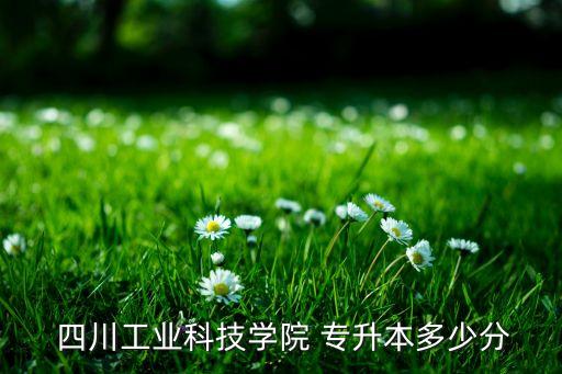  四川工業(yè)科技學院 專升本多少分