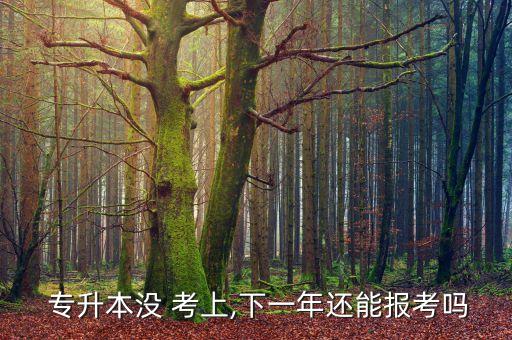  專升本沒(méi) 考上,下一年還能報(bào)考嗎