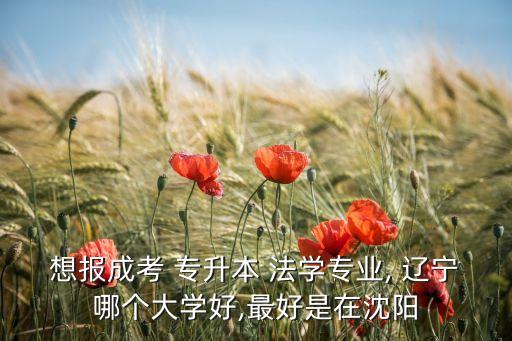 遼寧專升本 法學(xué),選擇?？茖W(xué)府還是本科?
