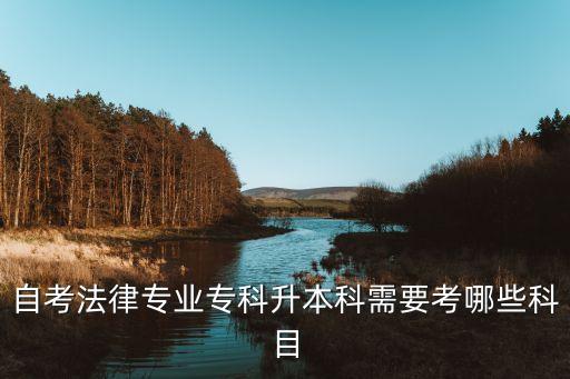 自考法律專業(yè)?？粕究菩枰寄男┛颇? class=