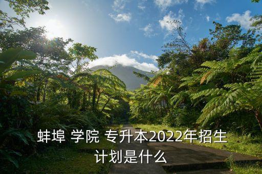 蚌埠學(xué)院專升本計(jì)算機(jī)科學(xué),安徽蚌埠學(xué)院專升本招生計(jì)劃出爐