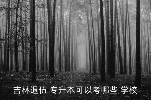 吉林退伍 專(zhuān)升本可以考哪些 學(xué)校