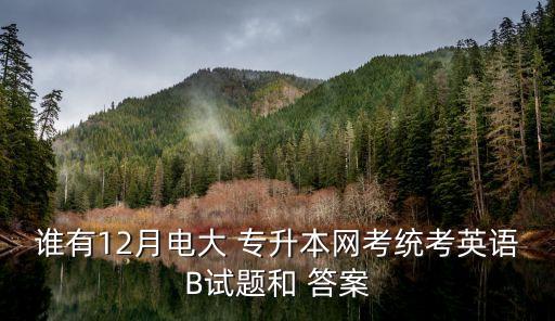 誰(shuí)有12月電大 專(zhuān)升本網(wǎng)考統(tǒng)考英語(yǔ)B試題和 答案