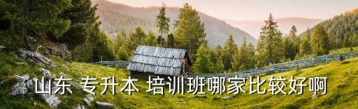  山東 專升本 培訓班哪家比較好啊