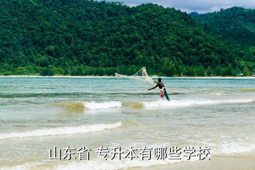 山東省專升本.一,山東省44所高校127個(gè)?？茖Ｉ菊猩? /></a><a href=