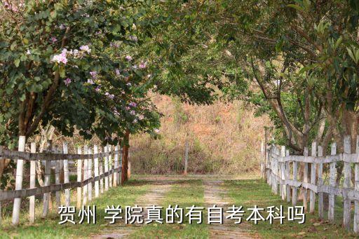 賀州學(xué)院專(zhuān)升本2016,廣西自考院校成人高考成績(jī)揭曉