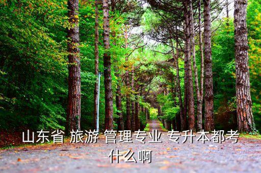 旅游管理的專升本,旅游管理專升本可報考本科和專科課程