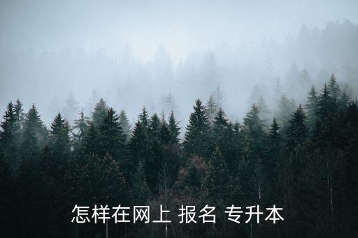 怎樣在網(wǎng)上 報(bào)名 專升本