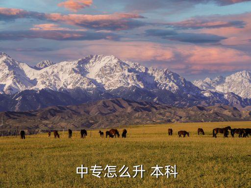 中專升本科的文憑,中專畢業(yè)生三年后可參加對口入學考試