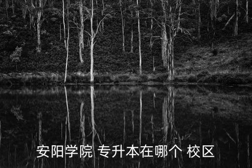 安陽學(xué)院 專升本在哪個(gè) 校區(qū)
