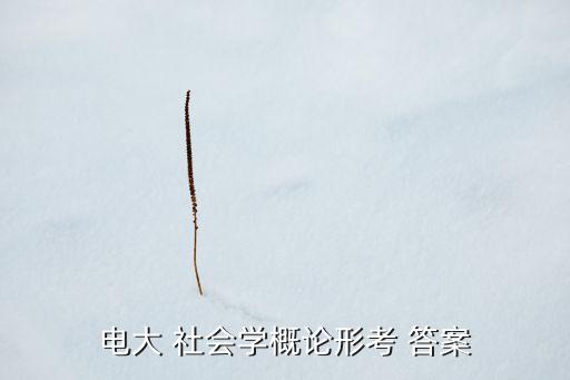 專升本社會學(xué)考試答案,報考專升本須具備國民教育系列大學(xué)學(xué)歷