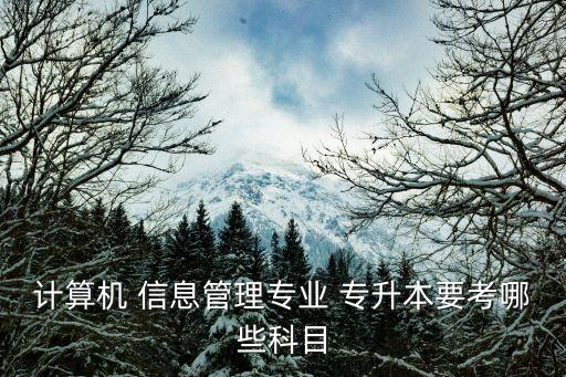 計算機 信息管理專業(yè) 專升本要考哪些科目