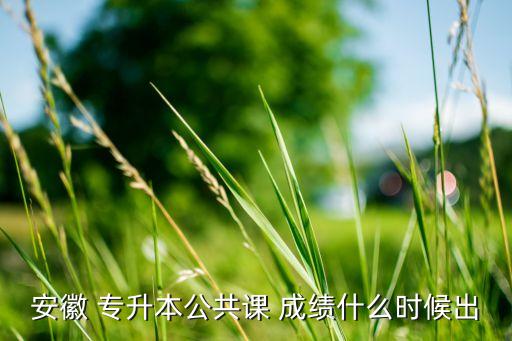 安慶醫(yī)專專升本成績(jī)查詢,資格線只是參加專升本錄取的最低要求