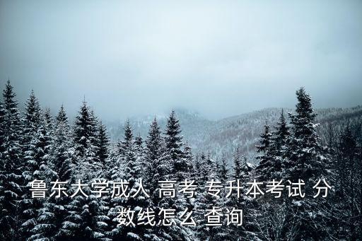 魯東大學(xué)成人 高考 專升本考試 分數(shù)線怎么 查詢