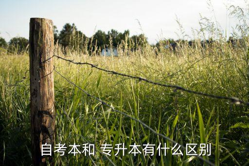 自考本和 專(zhuān)升本有什么區(qū)別