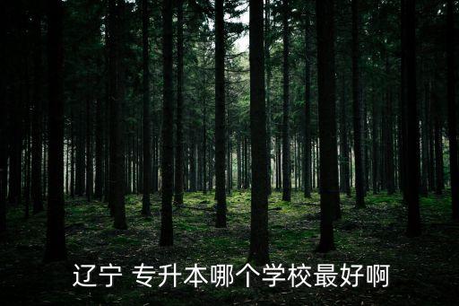  遼寧 專升本哪個學校最好啊