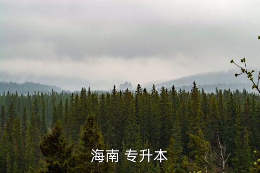 海口經(jīng)濟學(xué)院專升本難,如果你有實力最好選擇專升本而非普通版