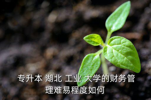 湖北工業(yè)大學(xué)專(zhuān)升本,選擇自己擅長(zhǎng)的領(lǐng)域和方向
