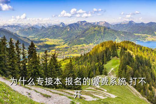 為什么專接本 報名的繳費(fèi)系統(tǒng) 打不開
