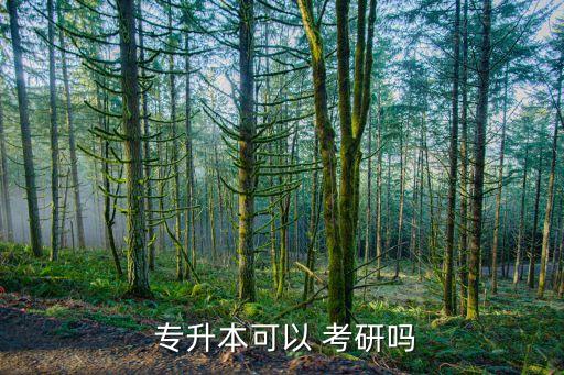 專(zhuān)升本后還可以考研嗎,本地學(xué)歷可搜索到國(guó)家承認(rèn)的本科學(xué)位