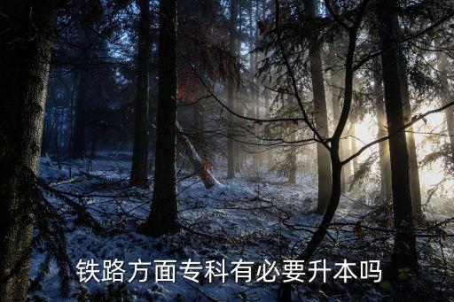 在鐵路單位報(bào)專升本,鐵路專業(yè)還是很有必要的專升本