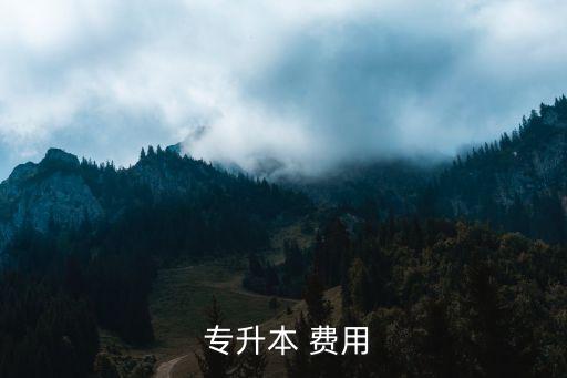 專升本一本的費(fèi)用,統(tǒng)招專升本收費(fèi)和普通本科生一樣高