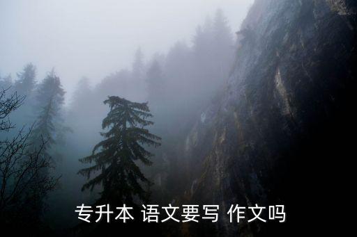  專升本 語(yǔ)文要寫(xiě) 作文嗎