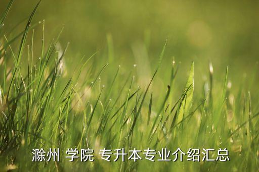 滁州 學院 專升本專業(yè)介紹匯總
