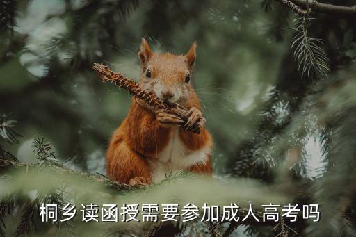 桐鄉(xiāng)專升本,報(bào)考全日制專業(yè)考生須出示單位同意報(bào)考證明