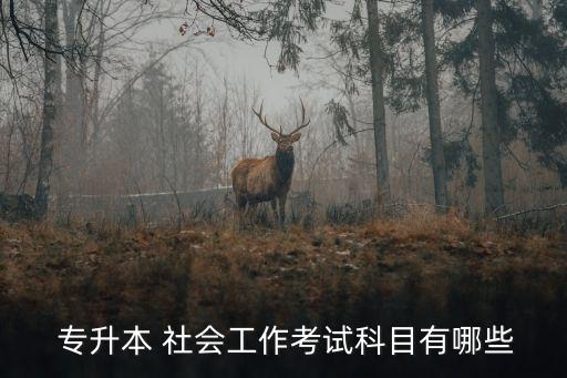  專升本 社會(huì)工作考試科目有哪些