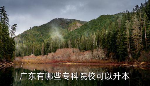 廣東有哪些專科院?？梢陨? class=