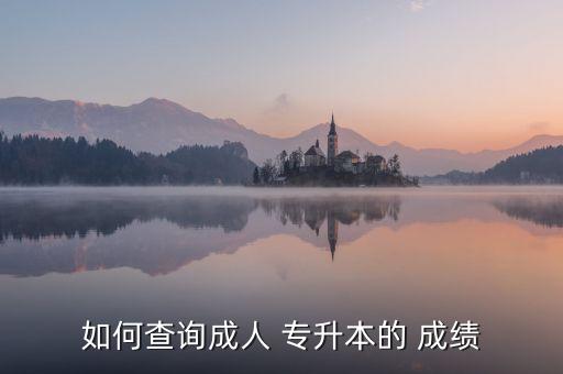 如何查詢成人 專升本的 成績(jī)