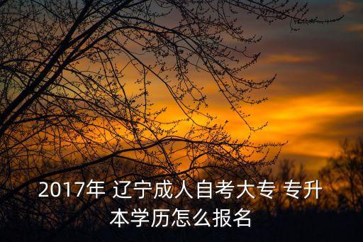 2017年 遼寧成人自考大專(zhuān) 專(zhuān)升本學(xué)歷怎么報(bào)名