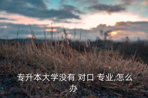  專升本大學沒有 對口 專業(yè),怎么辦