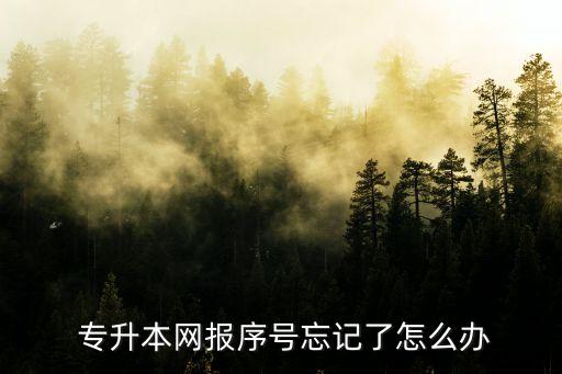  專升本網(wǎng)報(bào)序號忘記了怎么辦
