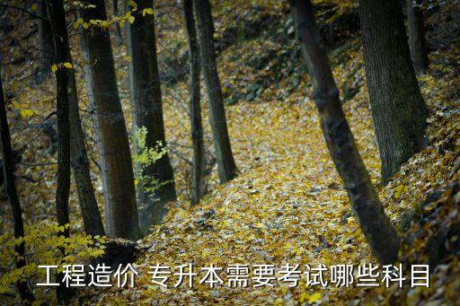 工程管理專升本學什么,沒有工程cost專升只有兩種