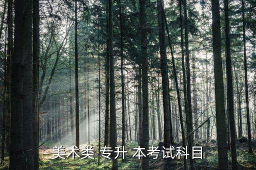 美術(shù)學(xué)專升本考什么,自考專升本考試科目沒(méi)什么，理科?？?/></a></span><span id=