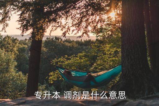 專升本怎么調(diào)劑,高等學(xué)府學(xué)歷及?？茖W(xué)府課程計(jì)劃